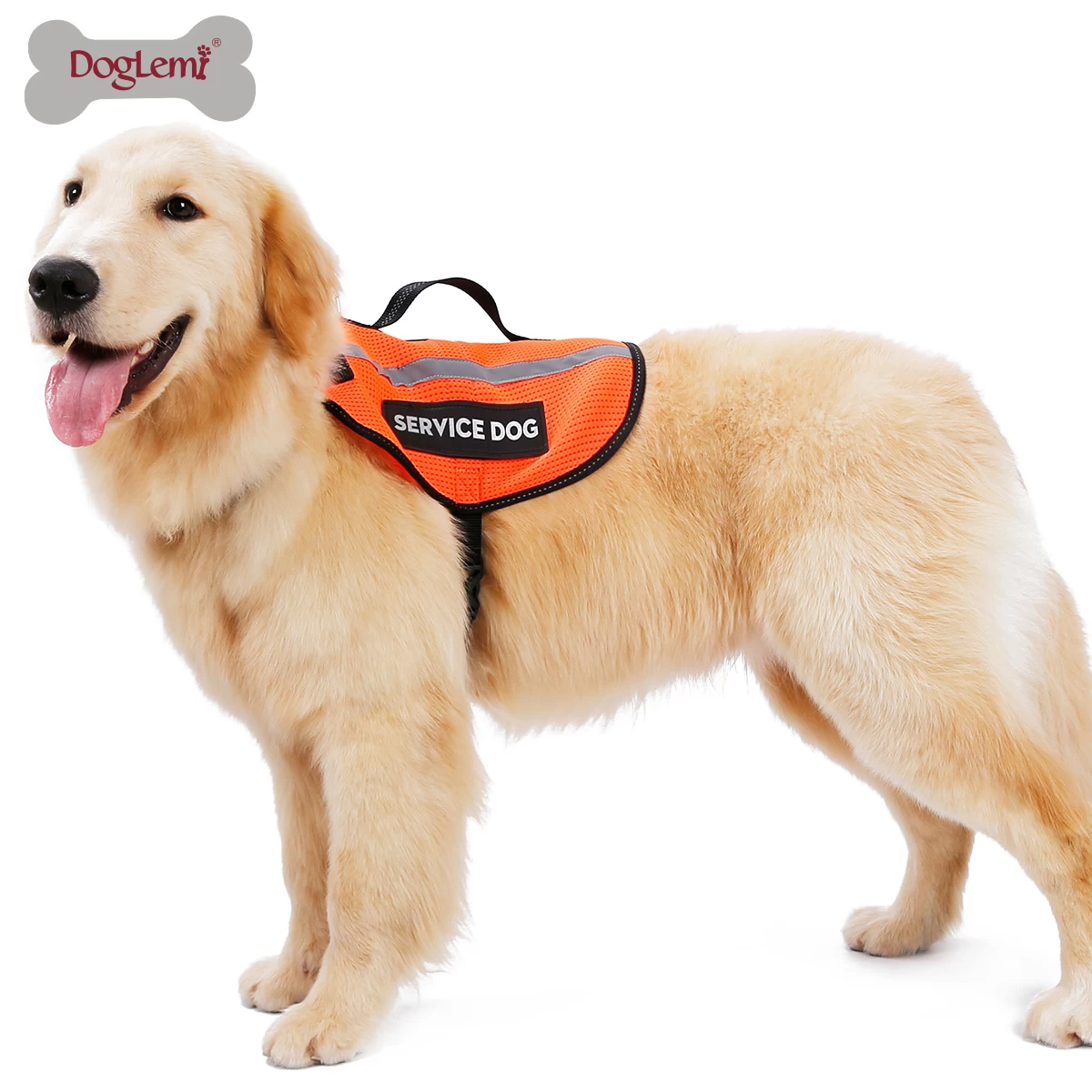 Dog Service vest
