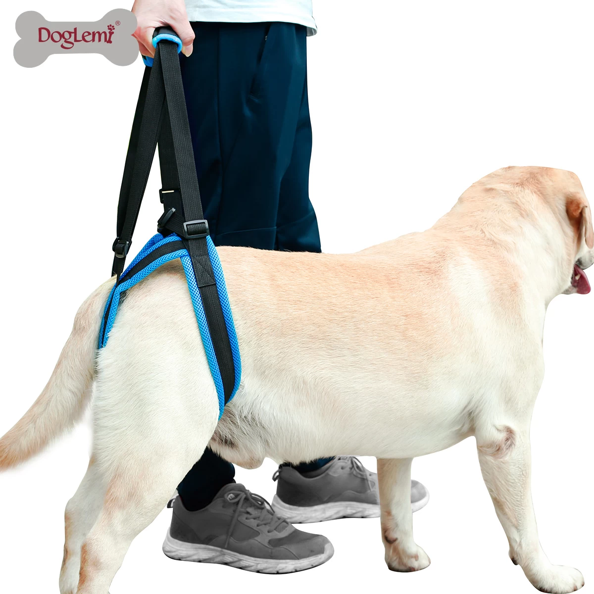 Dog hind leg auxiliary belt