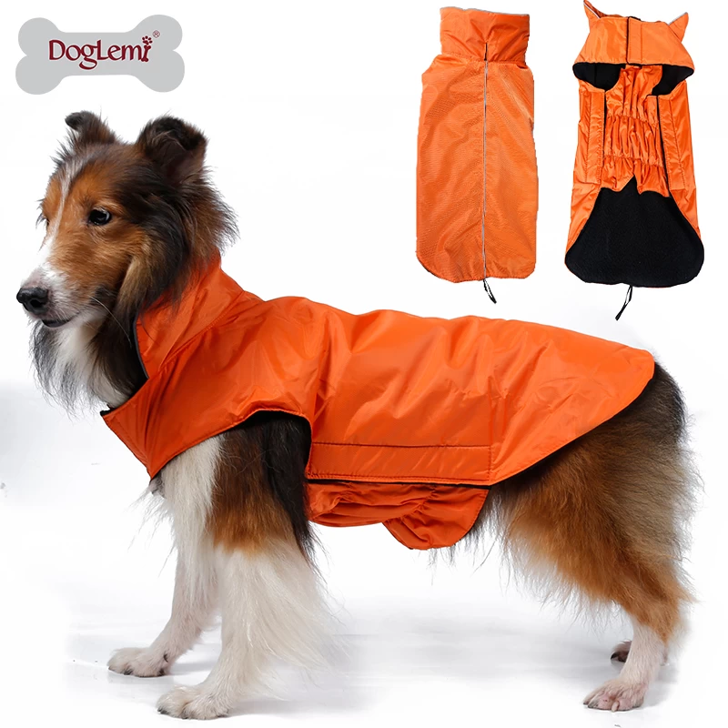 Dog sports clothes