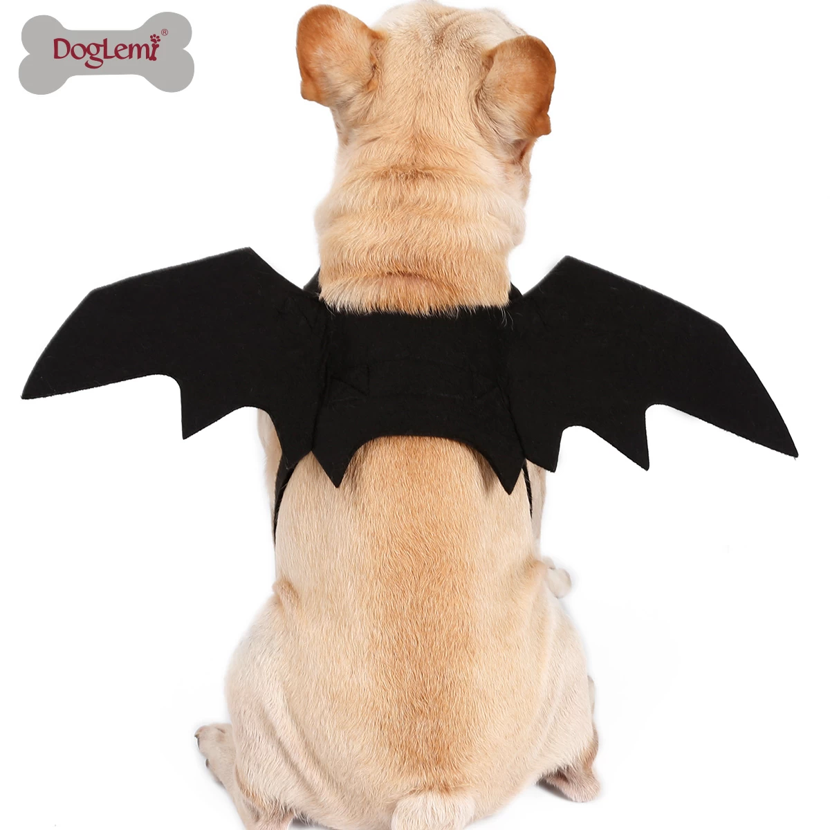 Хэллоуин животное собака летучая мышь крылья