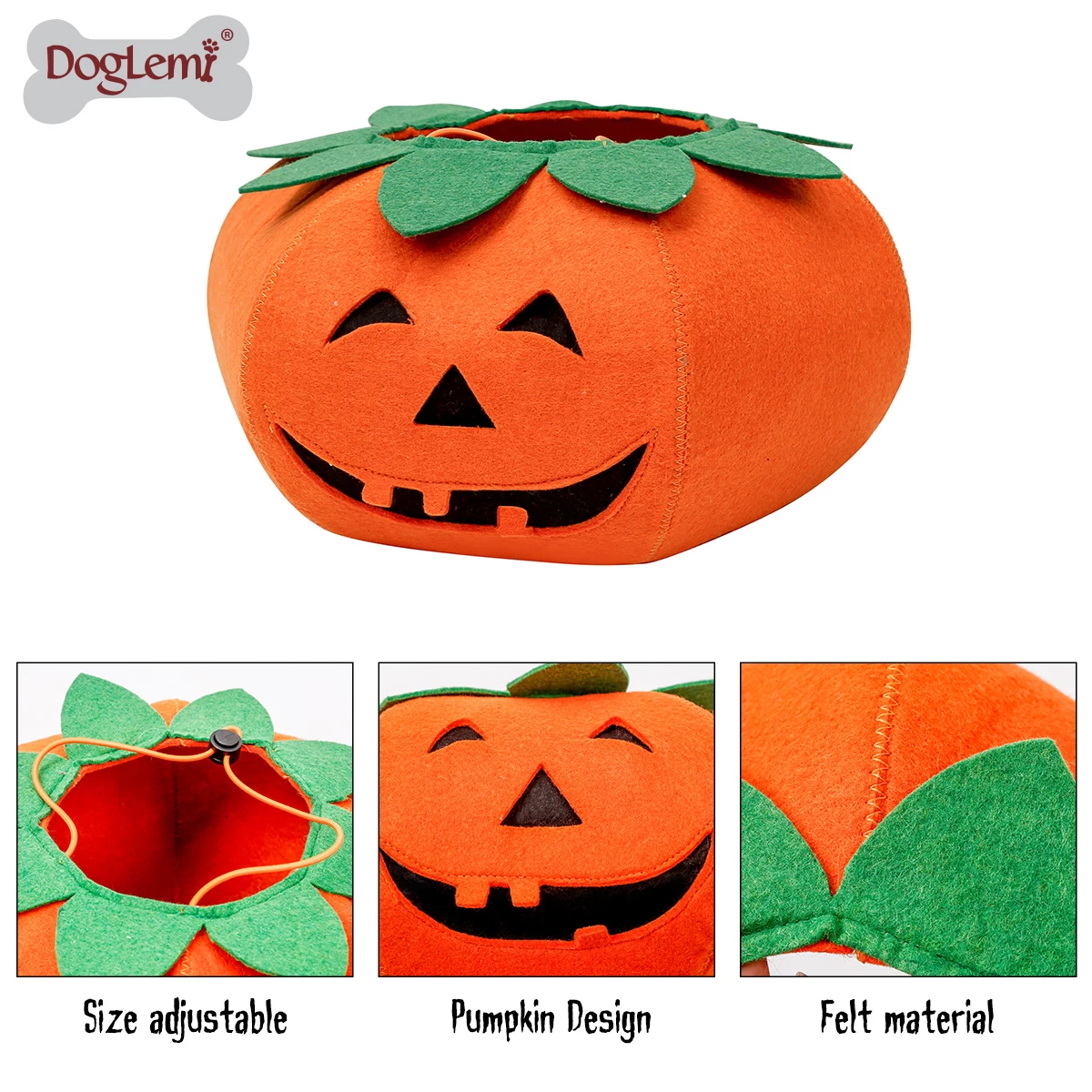 Halloween Pumpkin Pet Transfiguration