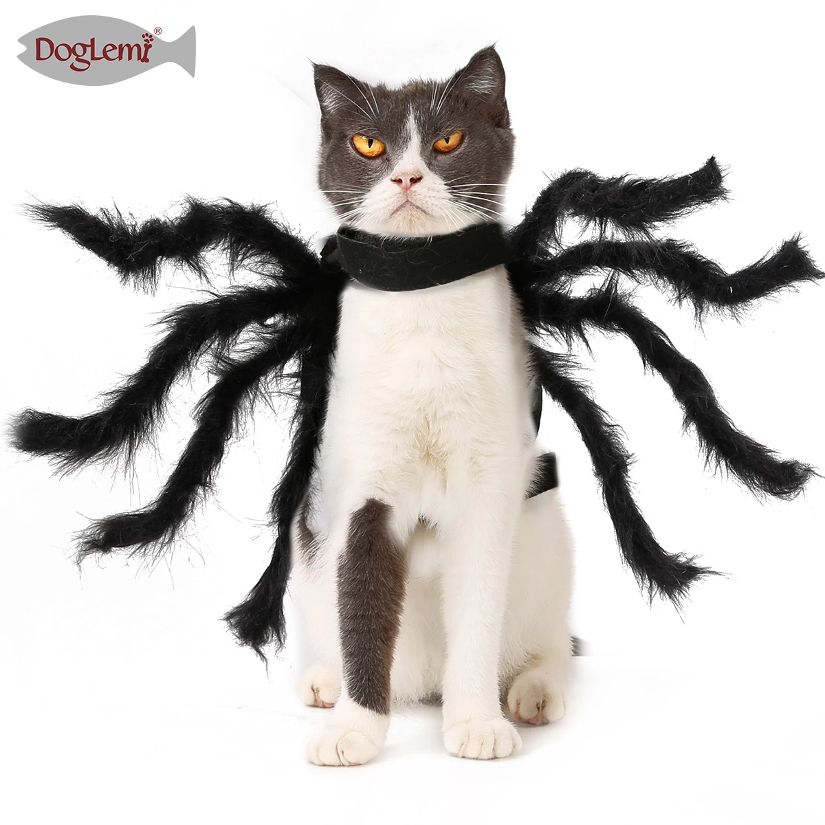 Halloween Spider Pet Dress Up