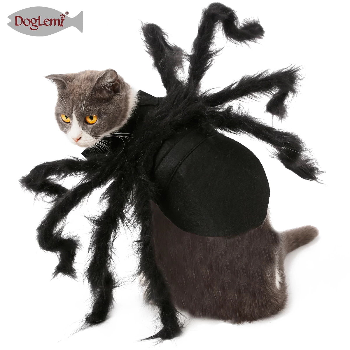 Хэллоуин паук Pet одеваются