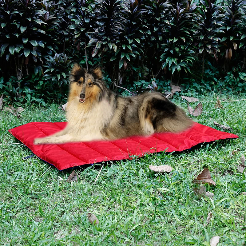 Большая собака двусторонний пользователь вне площадки для собак