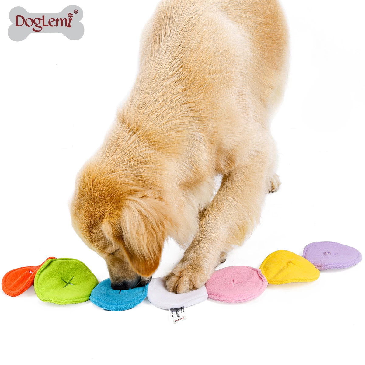 Macaron schnüffelt Hundespielzeug