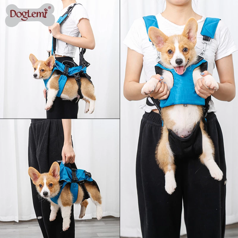 Multifunctional dog walking backpack