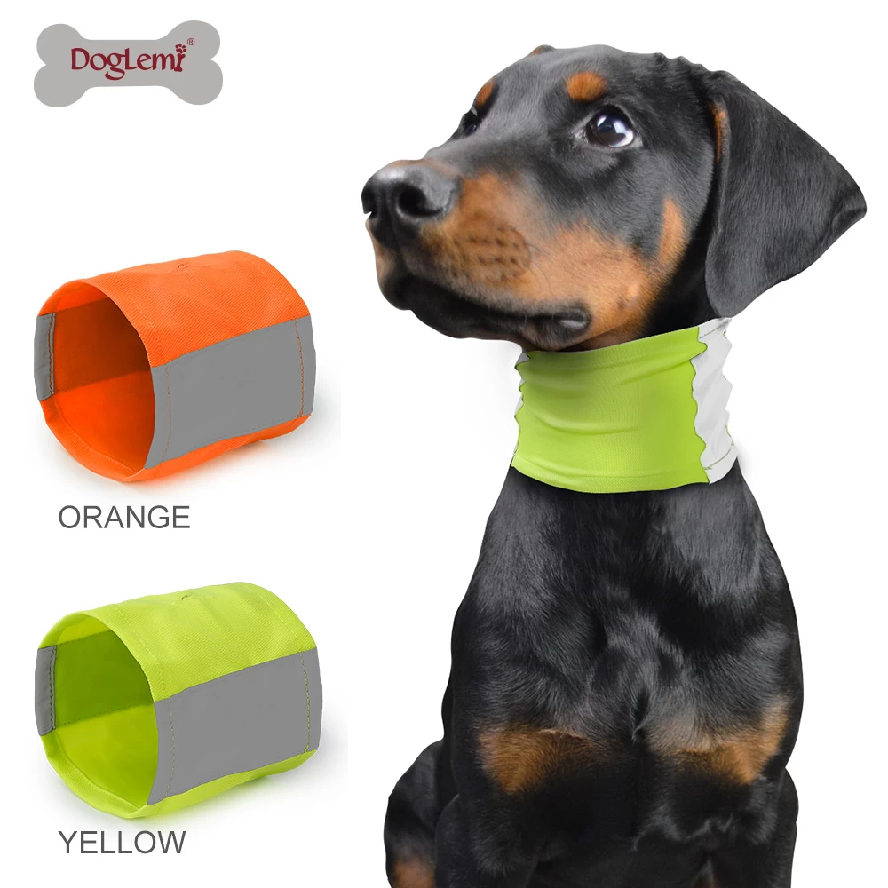 Neon Reflective Dog Collar