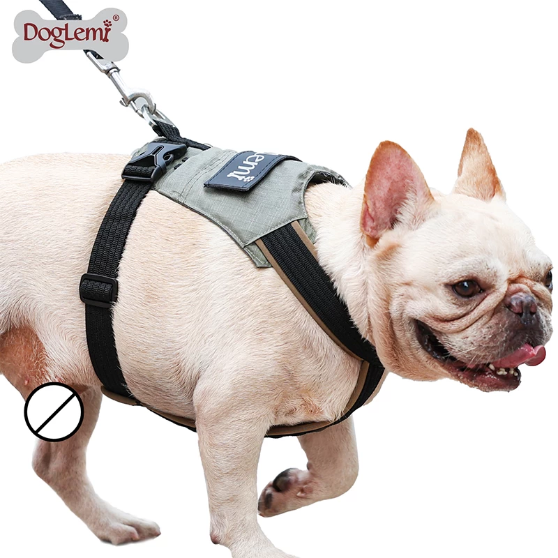 Walking Dog Harness No Pull Pet Vest Harness Adjustable Training Best Padded Chest Pet Harness