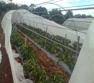 Agricultural Covering Nonwovens On Sales, Non Woven Mulch Manufacturer, Agriculture Cover Wholesale