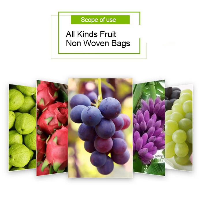 Fruit Tree Bags Supplier, Customizable Variety Of Fruit Tree Bags, Protect Fruit Bags Factory In China