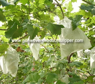 China Spunbond Non Woven Bag Manufacturer, Fruit Non Woven Bag Vendor, Fruit Protection Bag Wholesale