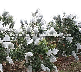 China Spunbond Non Woven Bag Wholesale, Fruit Protection Bag Factory, Fruit Non Woven Bag Supplier