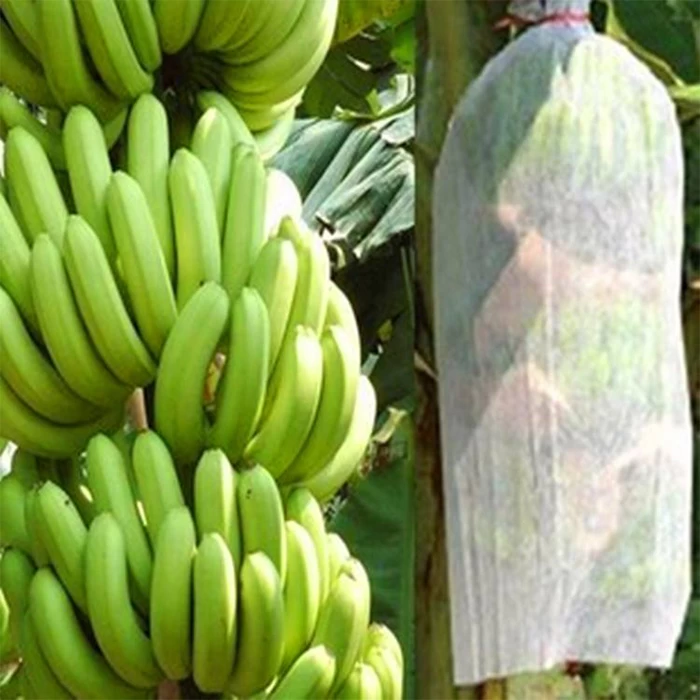 Banana Tree Bags Manufacturer, Dedicated Cover Banana Tree Bags, Banana Growing Bags On Sales In China