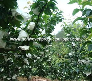 China Fruit Bag Company, Insect Prevention Bag On Sales, Non Woven Dustproof Bag Wholesale