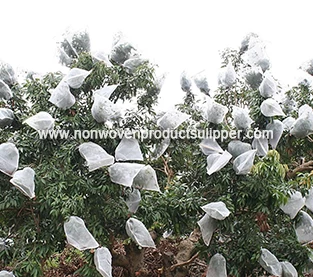 Lychee Non Woven Bag Factory, Lychee Protection Bagging Manufacturer, Lychee Disposable Bag Wholesale