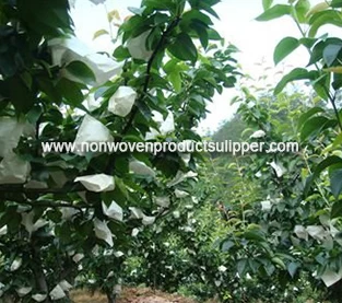 China Spunbond Non Woven Bag Manufacturer, Fruit Non Woven Bag Vendor, Fruit Protection Bag Wholesale