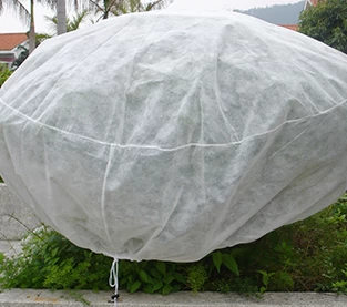 Agriculture Cover Factory, Greenhouse Non Woven Cover Supplier, Non Woven Mulch Manufacturer