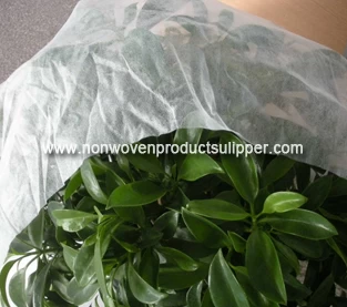 China Non Woven Fabrics Manufacturer, Spunbond Non Woven Fabric Wholesale, Agricultural Nonwovens Vendor