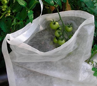 China Fruit Bag Lieferant, Fruit Non Woven Bag Großhandel, Agricultural Fruit Bag Company