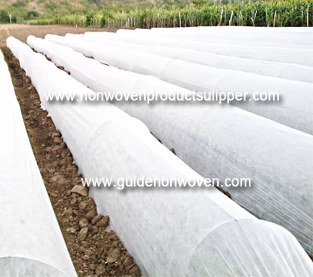 China Why the agricultural non woven cover is more and more popular? manufacturer
