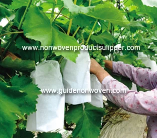 China Why use non woven grape bagging better than paper bagging? manufacturer