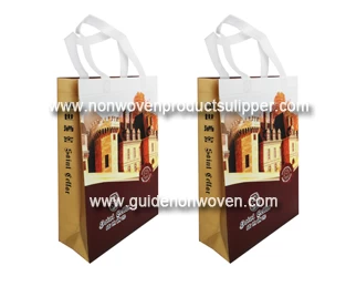 China Please try to use non woven shopping bags for shopping manufacturer