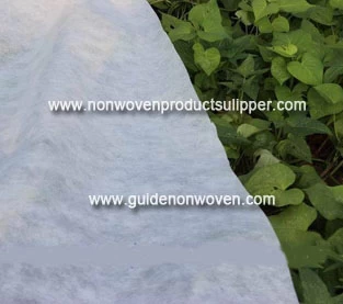 China What is the function of non-woven fabrics to flowers? manufacturer