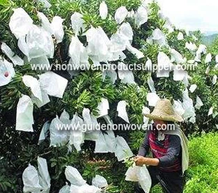 China Guangdong Litchi Export - Nonwoven Bagging fabricante