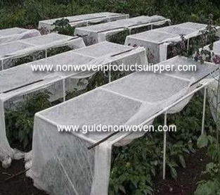 China How does the coverage of nonwovens directly affect vegetable growth and yield？ manufacturer