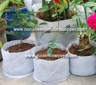 China Non-woven nursery bags (light matrix nursery net bags) use and introduction manufacturer