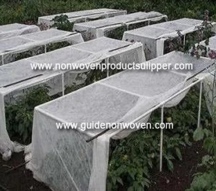 China How to use cold-proof green nonwovens in winter？ manufacturer