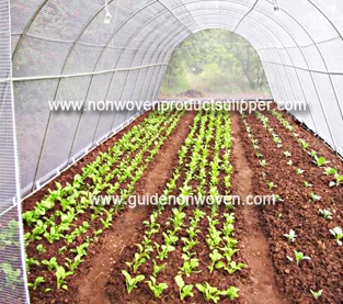 China Covering properties of nonwovens for vegetable production manufacturer