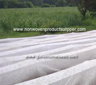 China Rice film mulching with direct seeding cultivation, increasing yield and increasing efficiency manufacturer