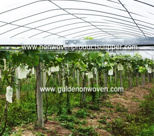 China The use of non-woven fabrics in agriculture in various countries manufacturer