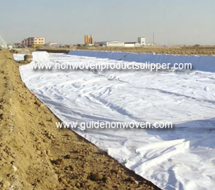 Cina Condizioni di costruzione differenti di Geomembrane produttore