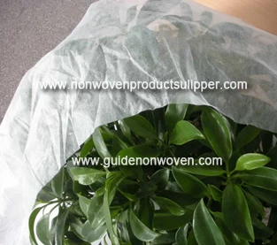 China Agricultural non-woven fabrics to help green vegetables grow sturdily manufacturer