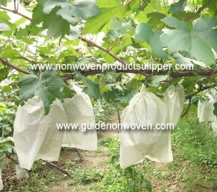 China What are the advantages of using non-woven fabric fruit bagging? manufacturer