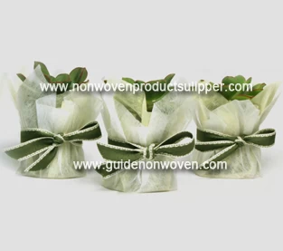 China Is pp non woven toxic?  Wide range of uses but no toxicity! manufacturer