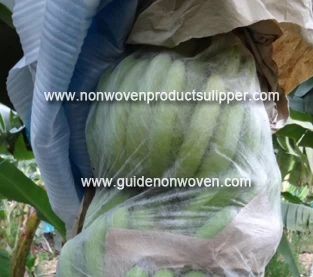 China What is the effect of non-woven bagging on the quality and storability of bananas? manufacturer