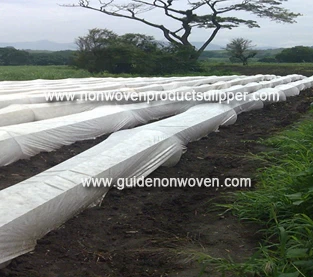 China How to use agricultural greenhouse covered with non-woven fabric in winter? manufacturer