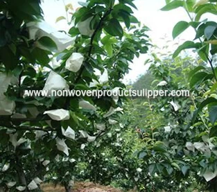 China The materials and methods of bagging litchi manufacturer