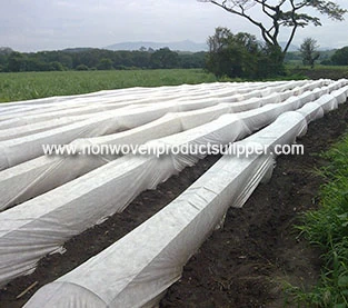 China New use of agricultural covering non woven fabrics manufacturer