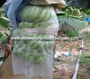 China What role does fruit bagging play in the late stages of fruit growth? manufacturer