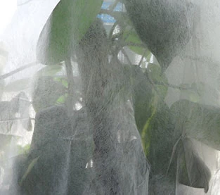 China How to use non woven fabrics and ceilings for the insulation of winter agricultural greenhouses? manufacturer