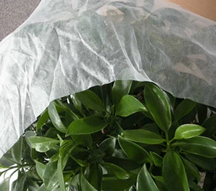 China Anti-UV function finishing and performance evaluation of non woven fabrics manufacturer
