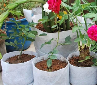 China Felt plant bag plays a large role in plant growth manufacturer