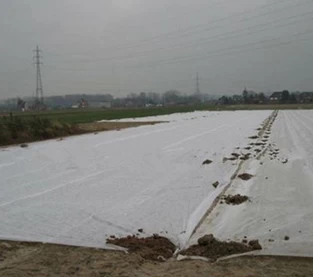 China Comparison between non-woven mulch and plastic mulch manufacturer
