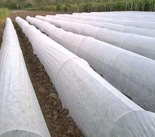 China Application of Non - woven Fabrics in Agriculture manufacturer