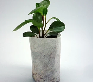 China Non-woven Seedling Bag Use And Introduction manufacturer