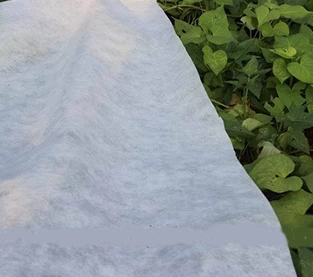 China What is the cultivation of non-woven fabric? manufacturer